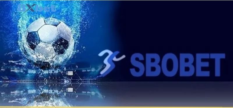 Lý do vì sao nên chọn Sbobet 8xbet để tham gia cá cược